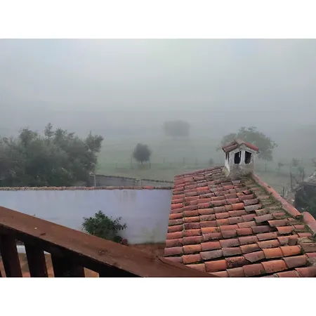 La Siesta Vtar * El Alcornocal